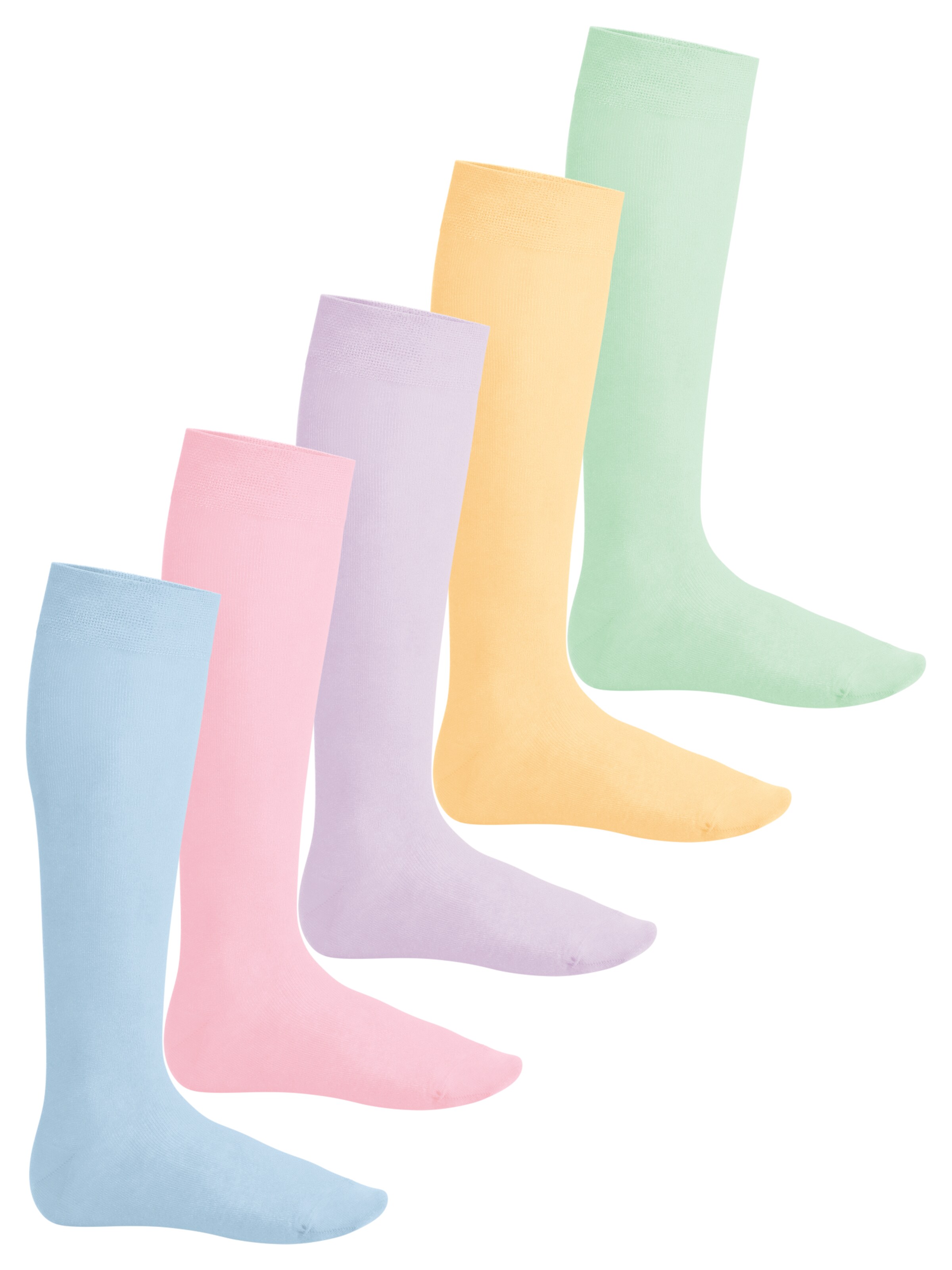 footstar Kniestrümpfe 'EVERYDAY!'‌‌‌‌‌‌‌‌‌‌ in Lila: Vorderseite
