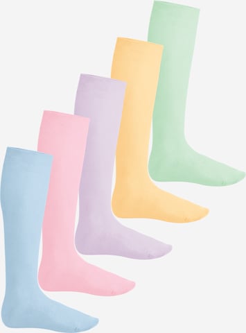 footstar Kniestrümpfe 'EVERYDAY!' in Lila: Vorderseite