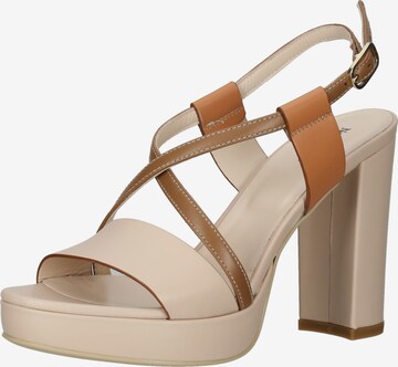 Nero Giardini Sandals in Brown: front