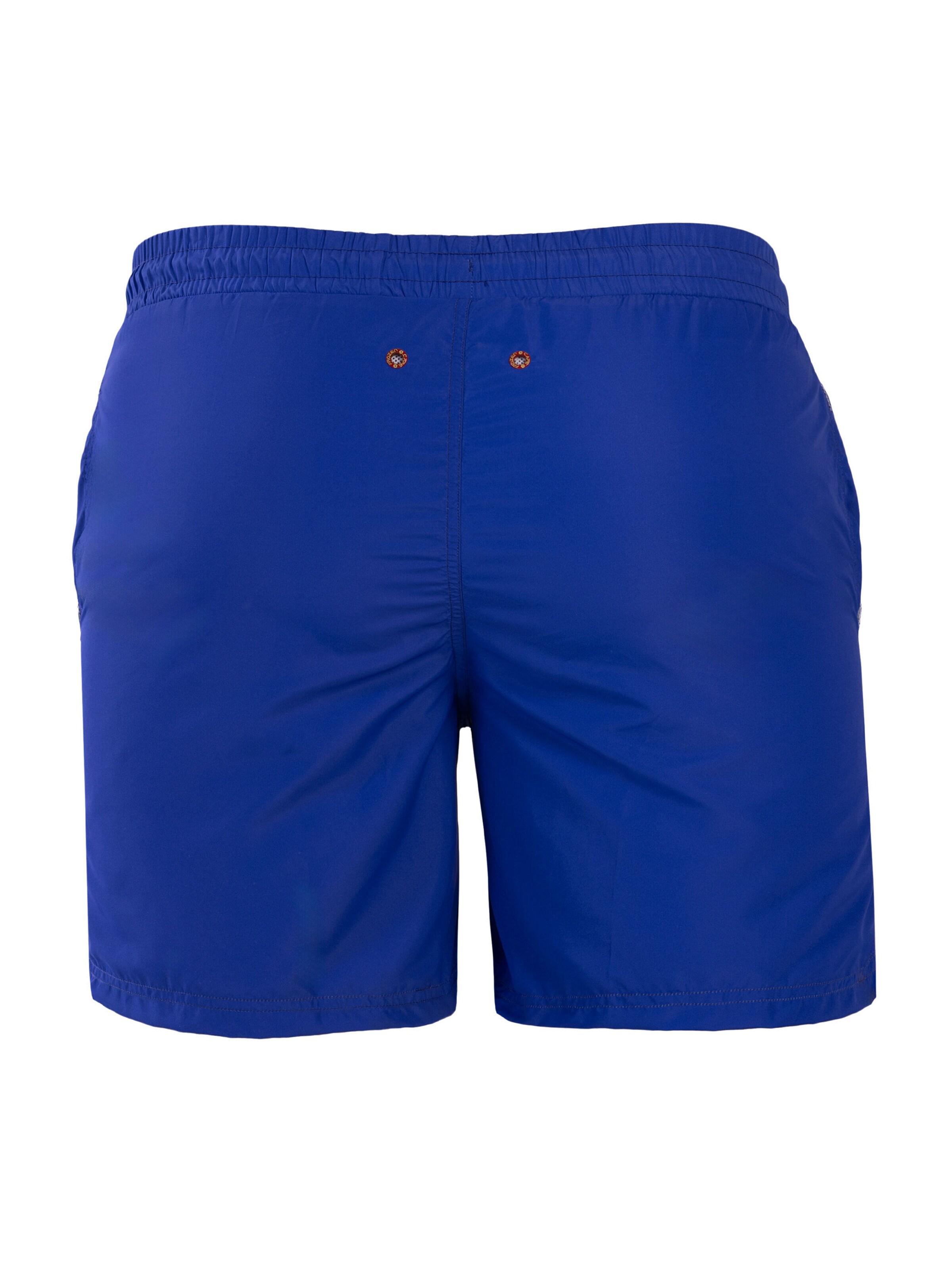 Frozen Cape Swimming Trunks in Blue