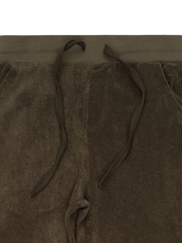 Loosefit Pantalon 'Pantalon Sponge' LDB en gris