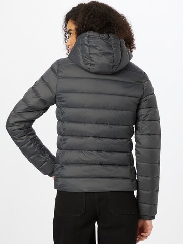 Superdry Winter Jacket 'Fuji' in Grey