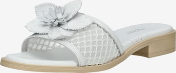 Zoccoletto di Nero Giardini in bianco: frontale