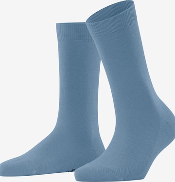 FALKE Socks 'Family' in Blue: front