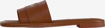 STEVE MADDEN Mule 'Ashten' in Brown: front