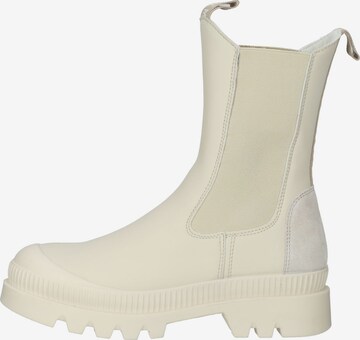 Chelsea Boots STEVE MADDEN en beige