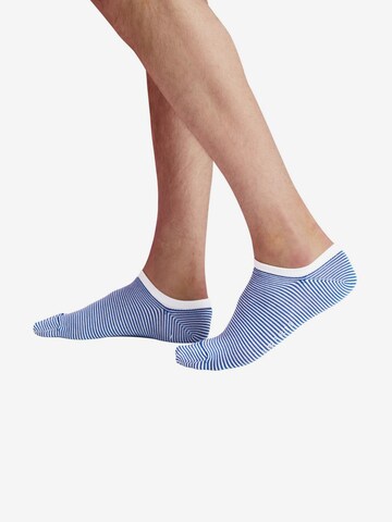 Chaussettes ESPRIT en bleu : devant