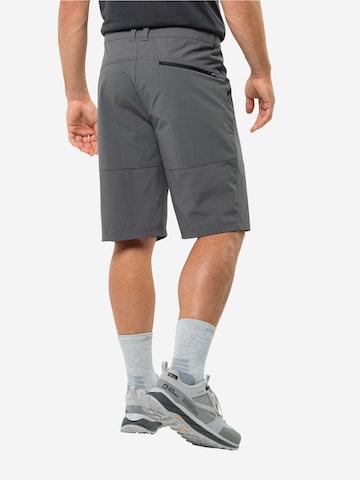 JACK WOLFSKIN Regular Sportshorts 'HIKING ALPINE' in Grau