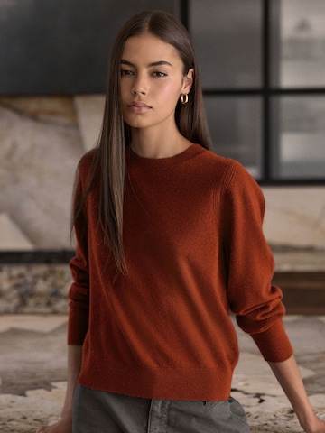 Next Pullover 'N. Premium' i brun: forside