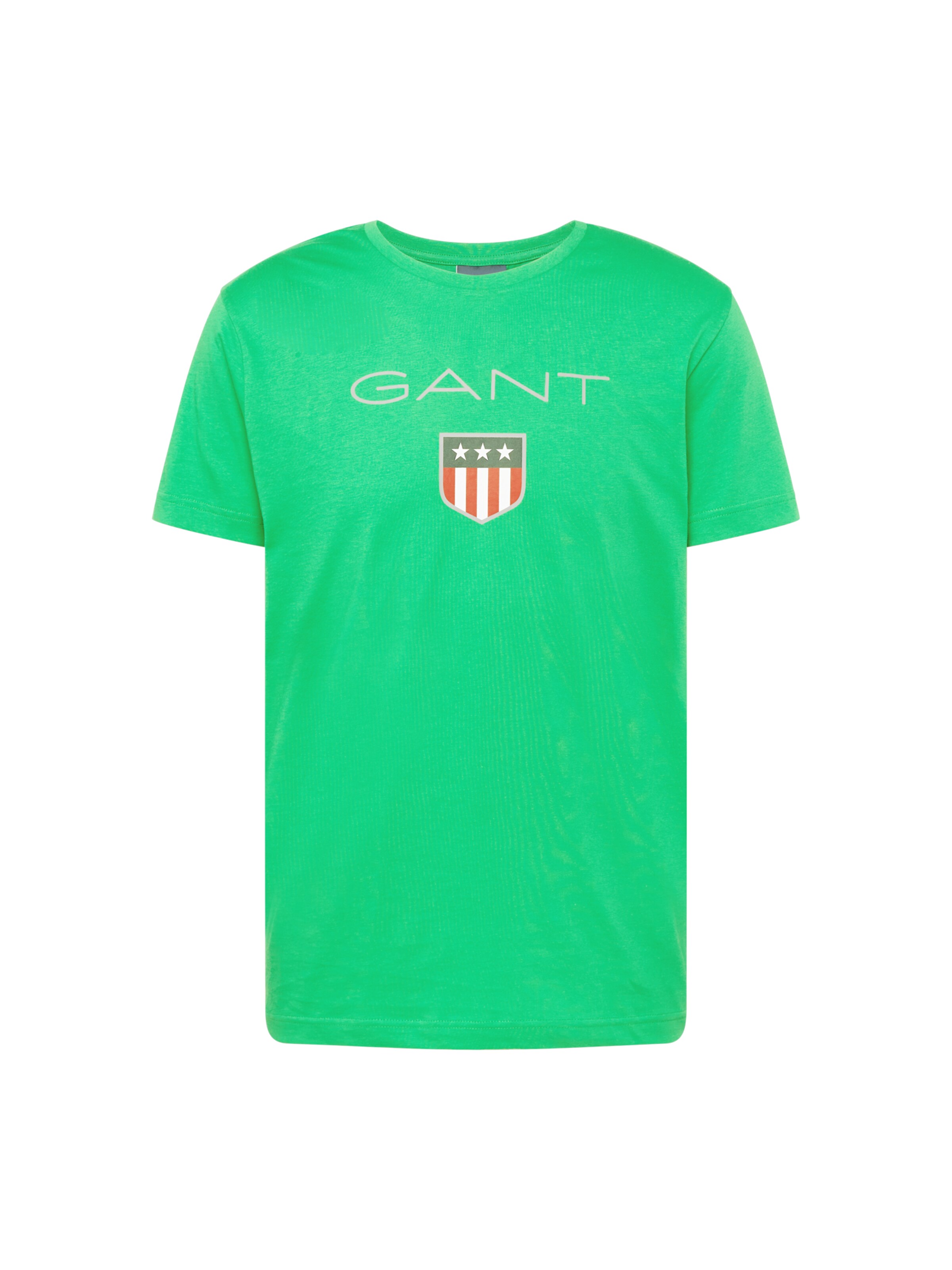 T-Shirt GANT en vert : devant