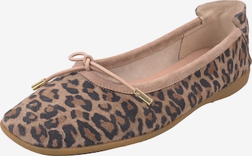 Ballerines ' OMEGA ' Crickit en beige : devant