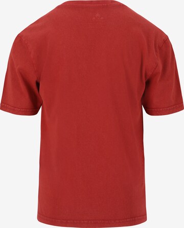 Whistler T-Shirt 'Hitch' in Rot