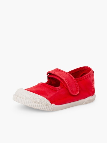 Pisamonas Ballerina‌‌‌ in Rot