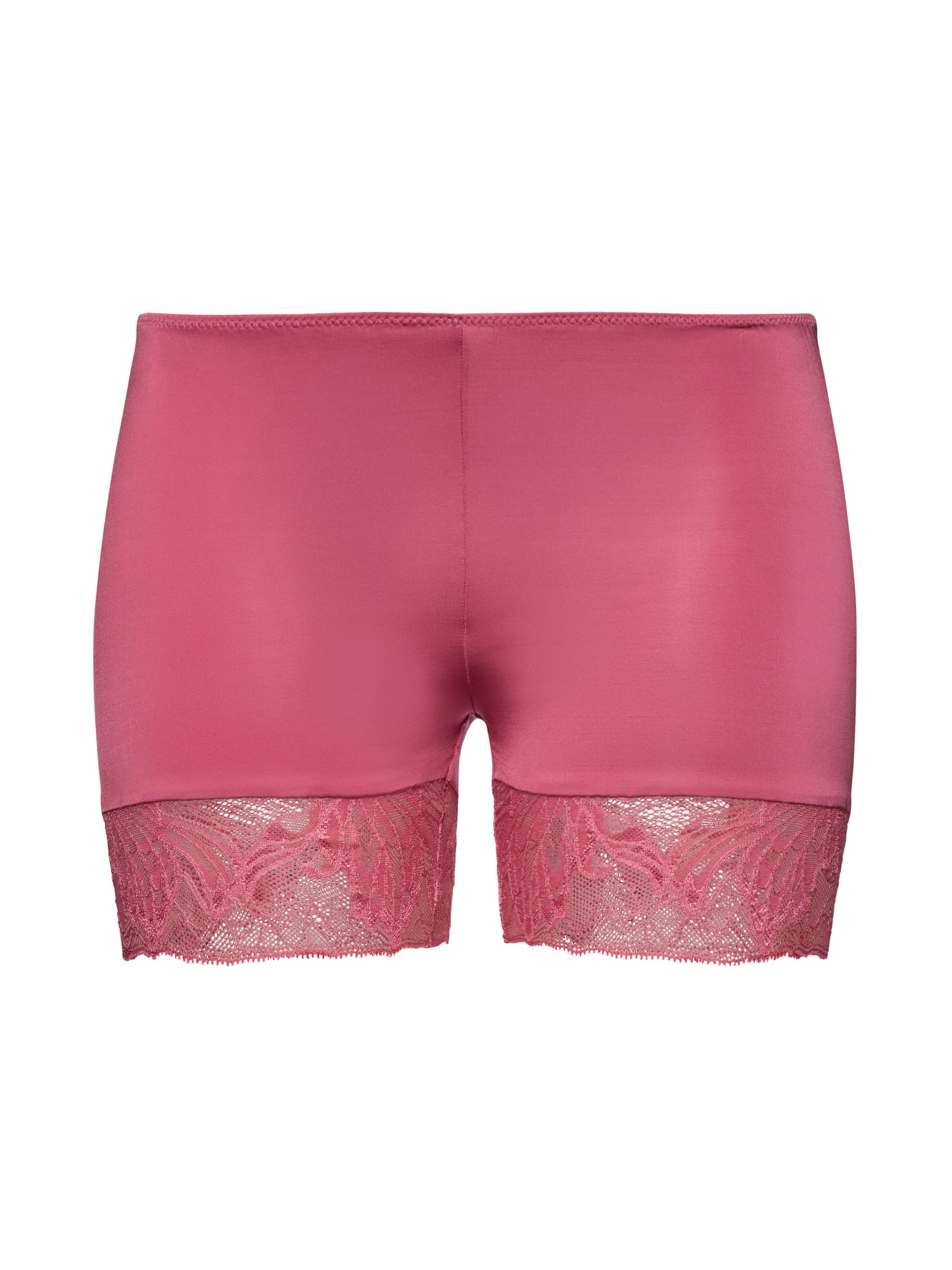 Hanro Panty ' Eva ' in Pink: front