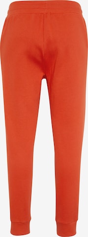 CHIEMSEE Tapered Pants in Orange