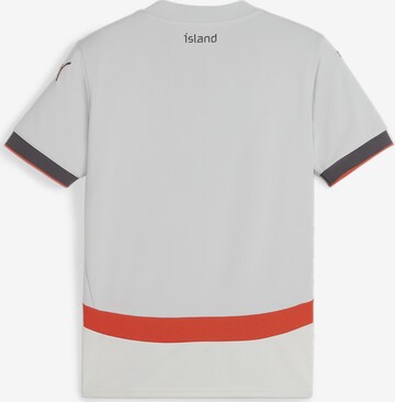 T-Shirt fonctionnel 'Island 2024' PUMA en gris