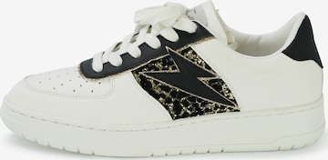 Findlay Sneakers laag 'BLAZE' in Zwart