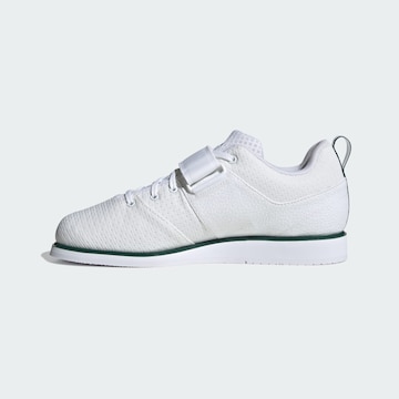 Chaussure de sport 'Powerlift 5' ADIDAS PERFORMANCE en blanc