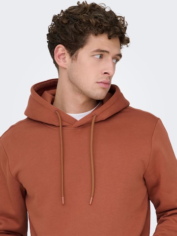 Only & Sons Sweatshirt 'ONSConnor' in Braun