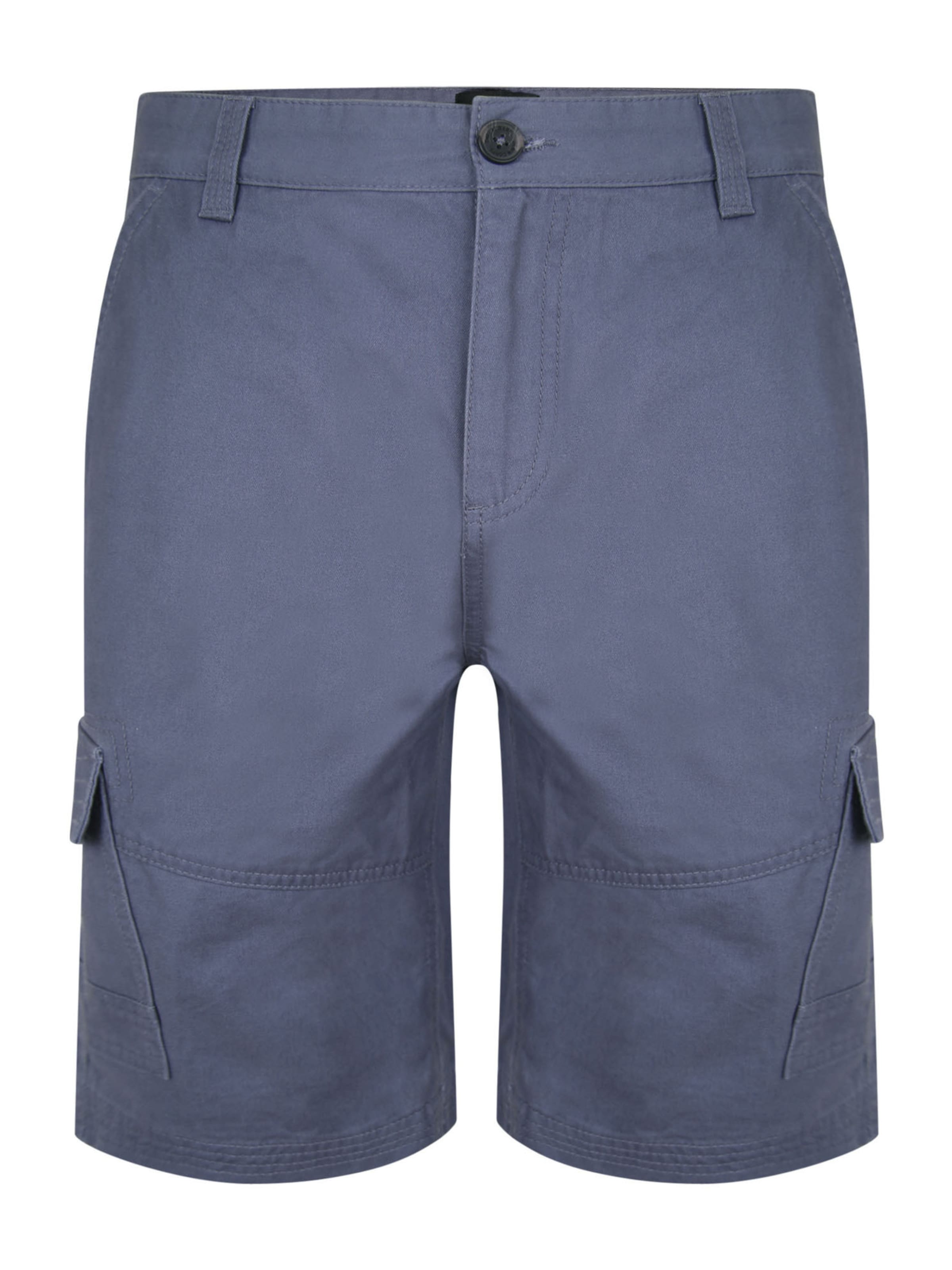 Threadbare Shorts 'Hydro' in Blau: Vorderseite