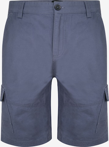 Pantalon 'Hydro' Threadbare en bleu : devant