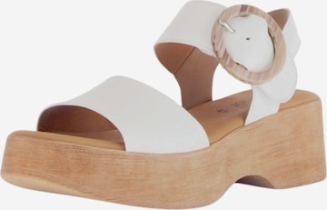 Sandales GABOR en blanc : devant