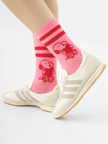 CODELLO Socks in Mixed colors