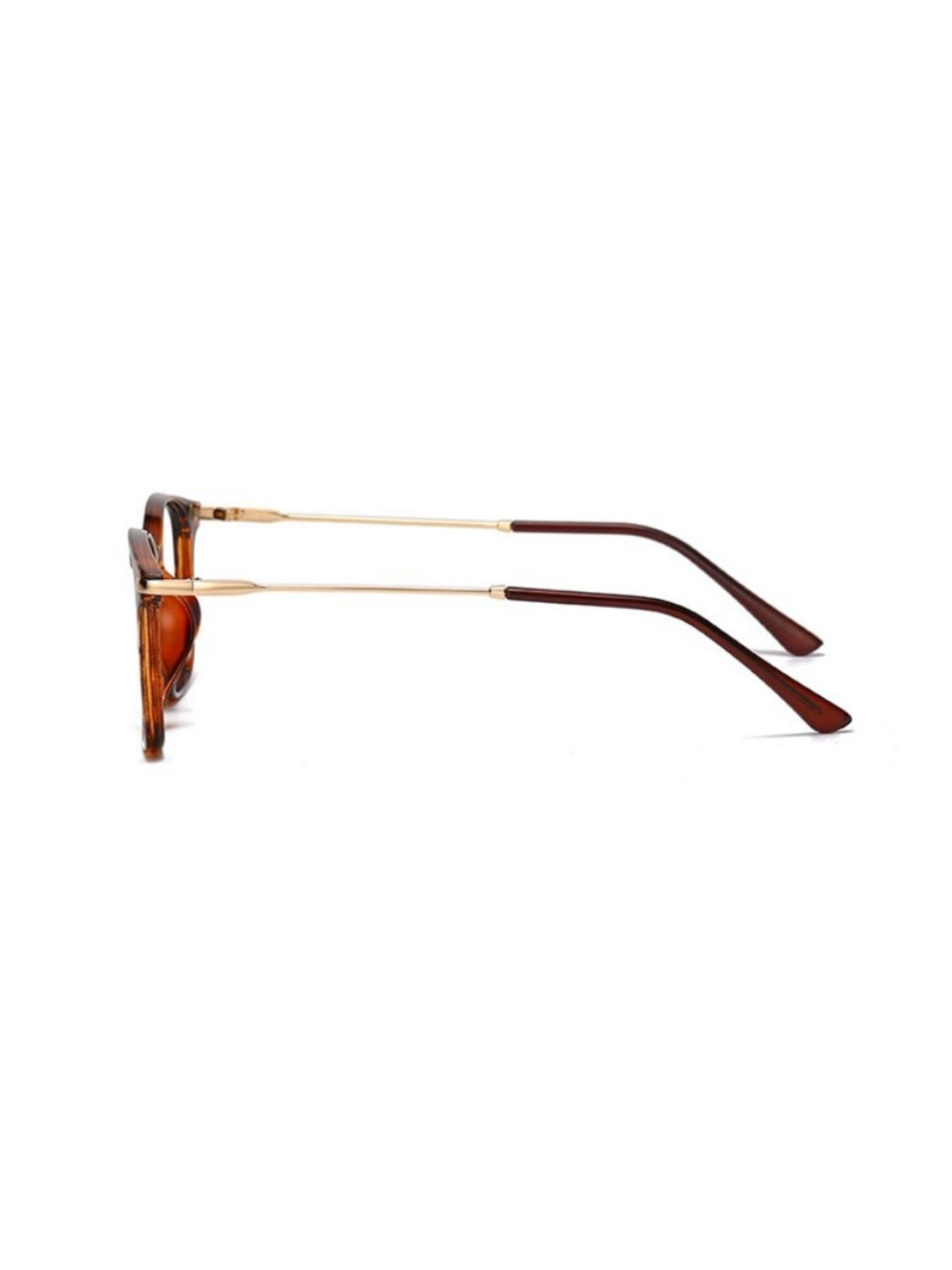 VEYREY Glasses 'Platz Sonnenbrillen Orvar' in Brown