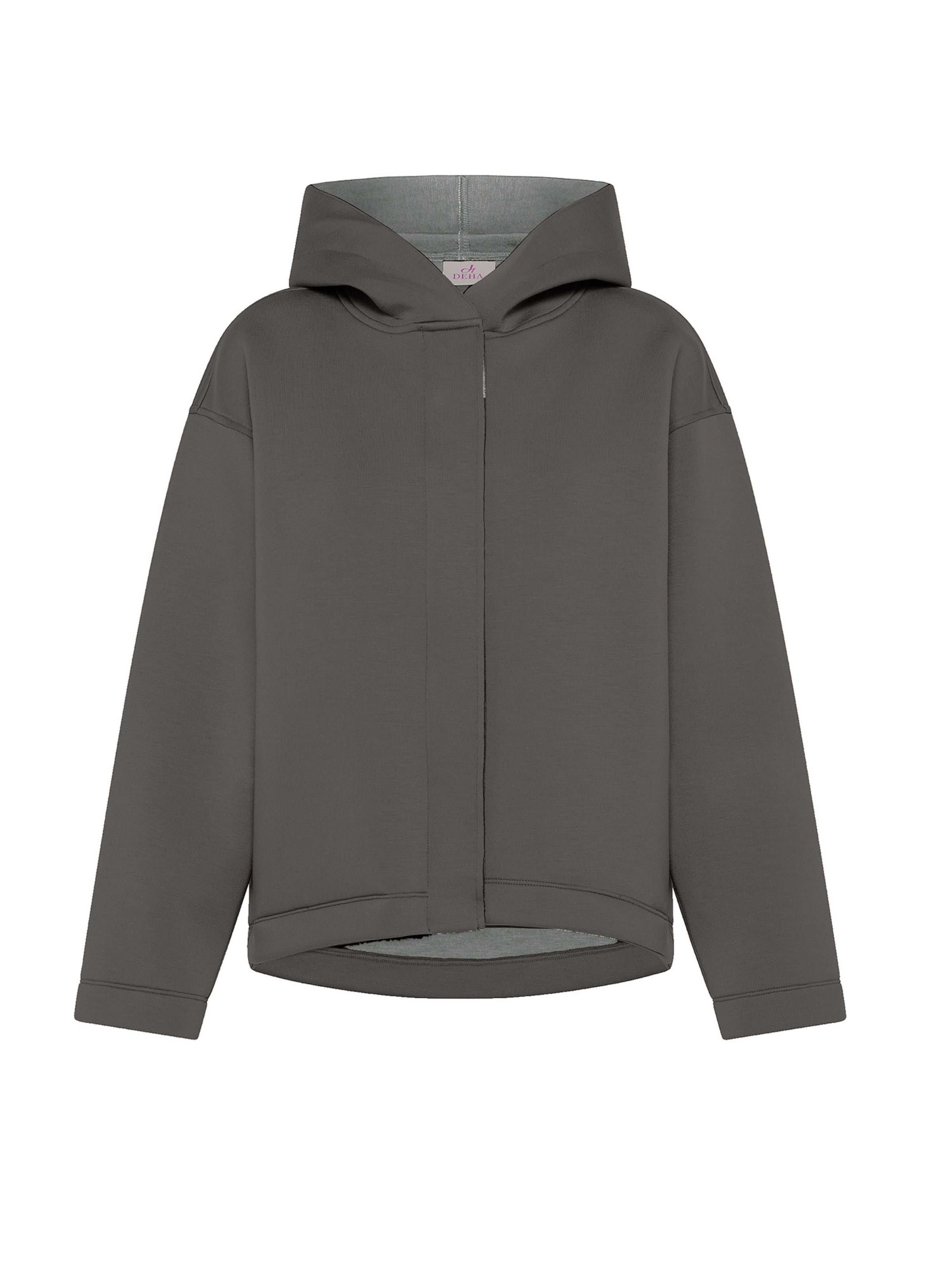 DEHA Sweatshirt in Grau: Vorderseite