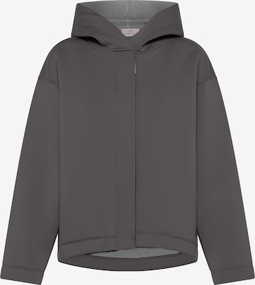 DEHA Sweatshirt in Grau: Vorderseite