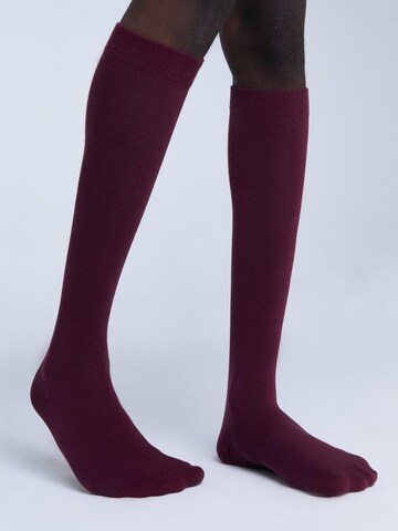 Albero Natur Knee High Socks in Red
