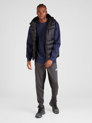 THE NORTH FACE Sweatshirt 'Essential' i blå