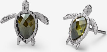 Paul Hewitt Earrings 'Turtle' in Silver: front