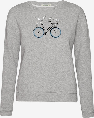 Felpa 'Bike Seagulls' di GREENBOMB in grigio: frontale
