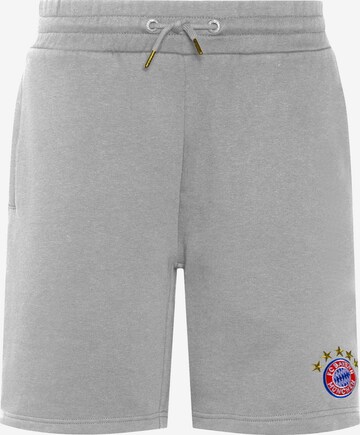 FC BAYERN MÜNCHEN Workout Pants in Grey: front