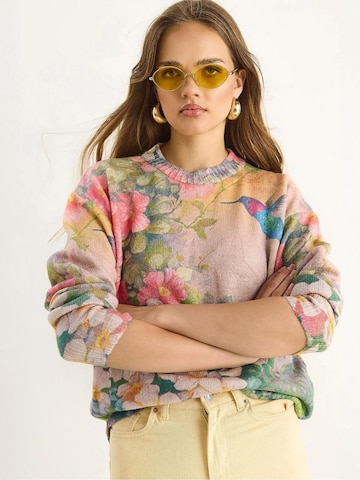 Bianco Lucci Pulover 'Pullover' | mešane barve barva: sprednja stran