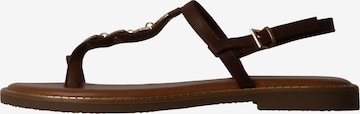 Super Mode Sandal in Brown: front