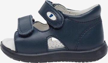 Falcotto Open shoes 'NEW RIVER' in Blue: front