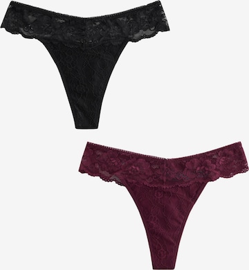 raudona Next Siaurikės: priekis