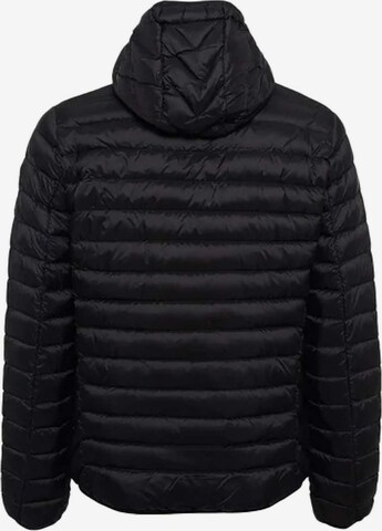 Ciesse Piumini Winter Jacket 'Franklin 2.0' in Black
