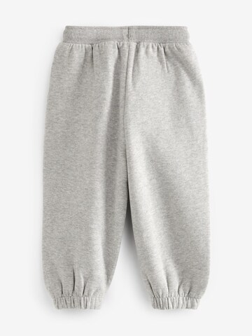 Tapered Pantaloni di Next in grigio
