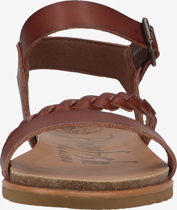 Blowfish Malibu Strap Sandals 'Marlah' in Brown