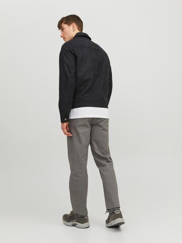 JACK & JONES tavaline Chino-püksid 'Kane', värv hall