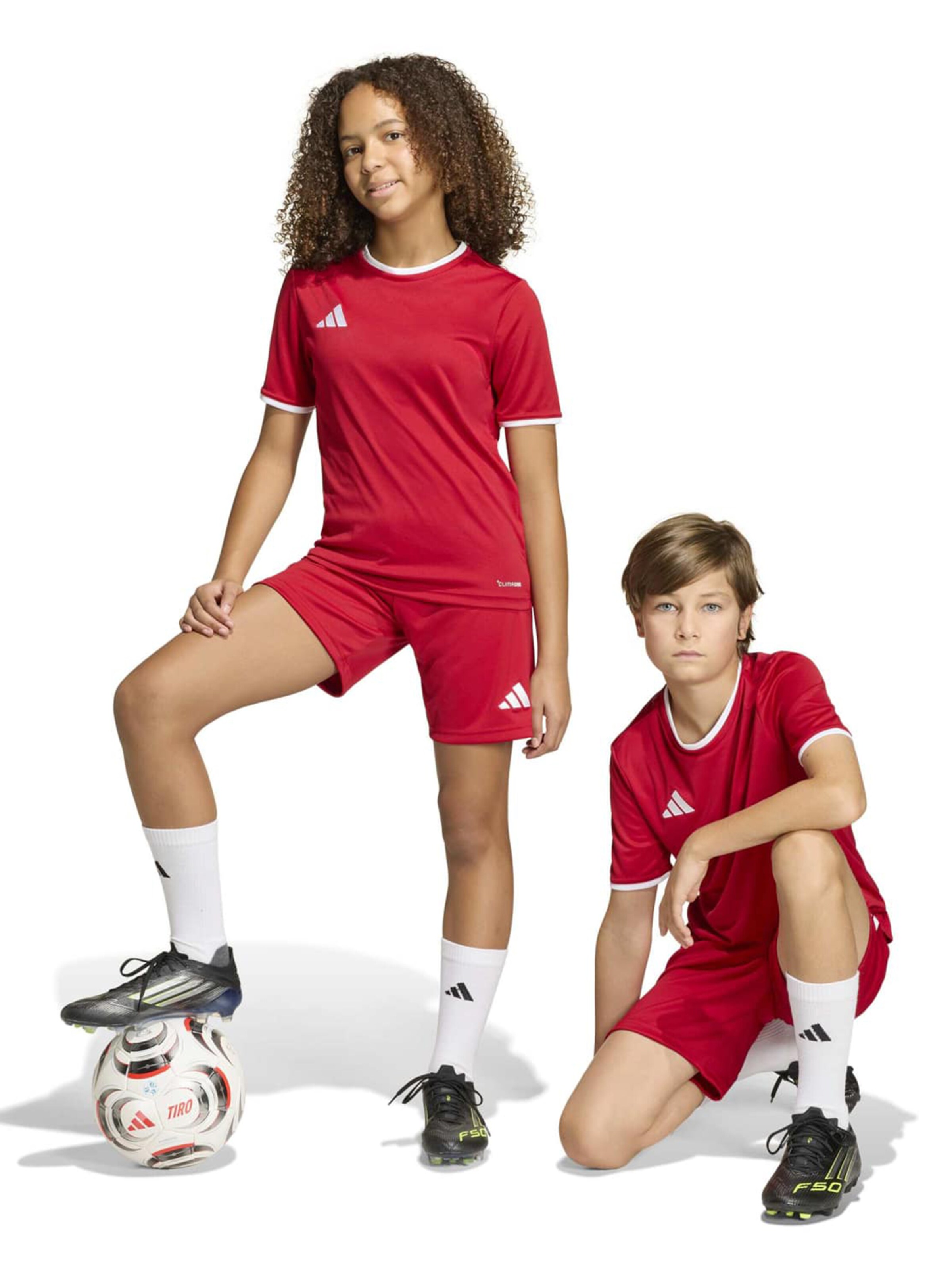 ADIDAS PERFORMANCE tavaline Spordipüksid 'ENT26', värv punane