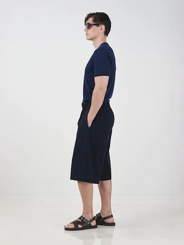 Giesto Wide leg Broek in Blauw
