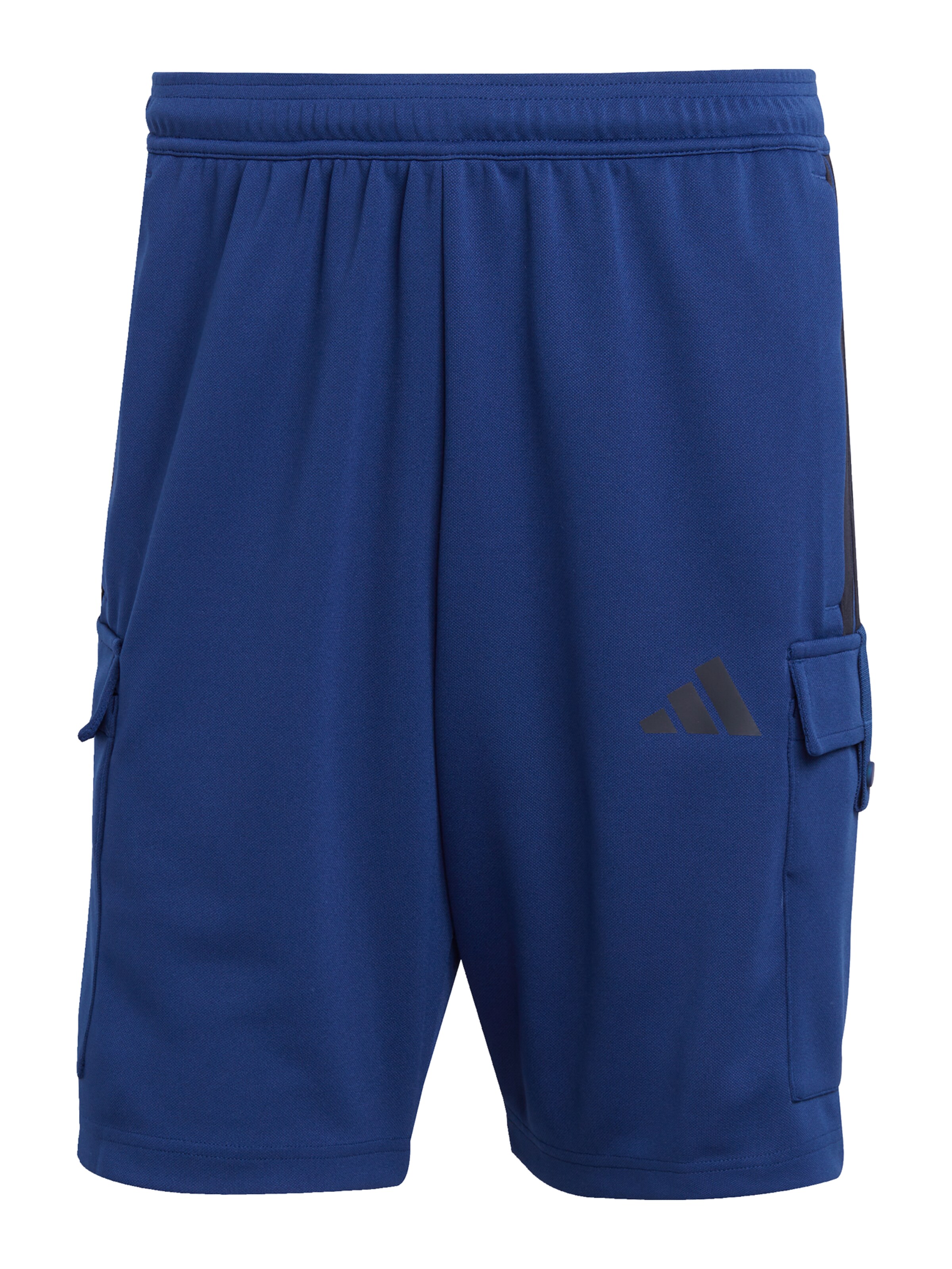 ADIDAS SPORTSWEAR Παντελόνι φόρμας 'TIRO' σε μπλε: μπροστά