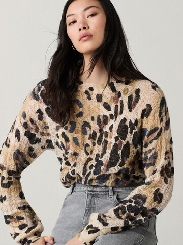 Next Sweater in Mixed colors