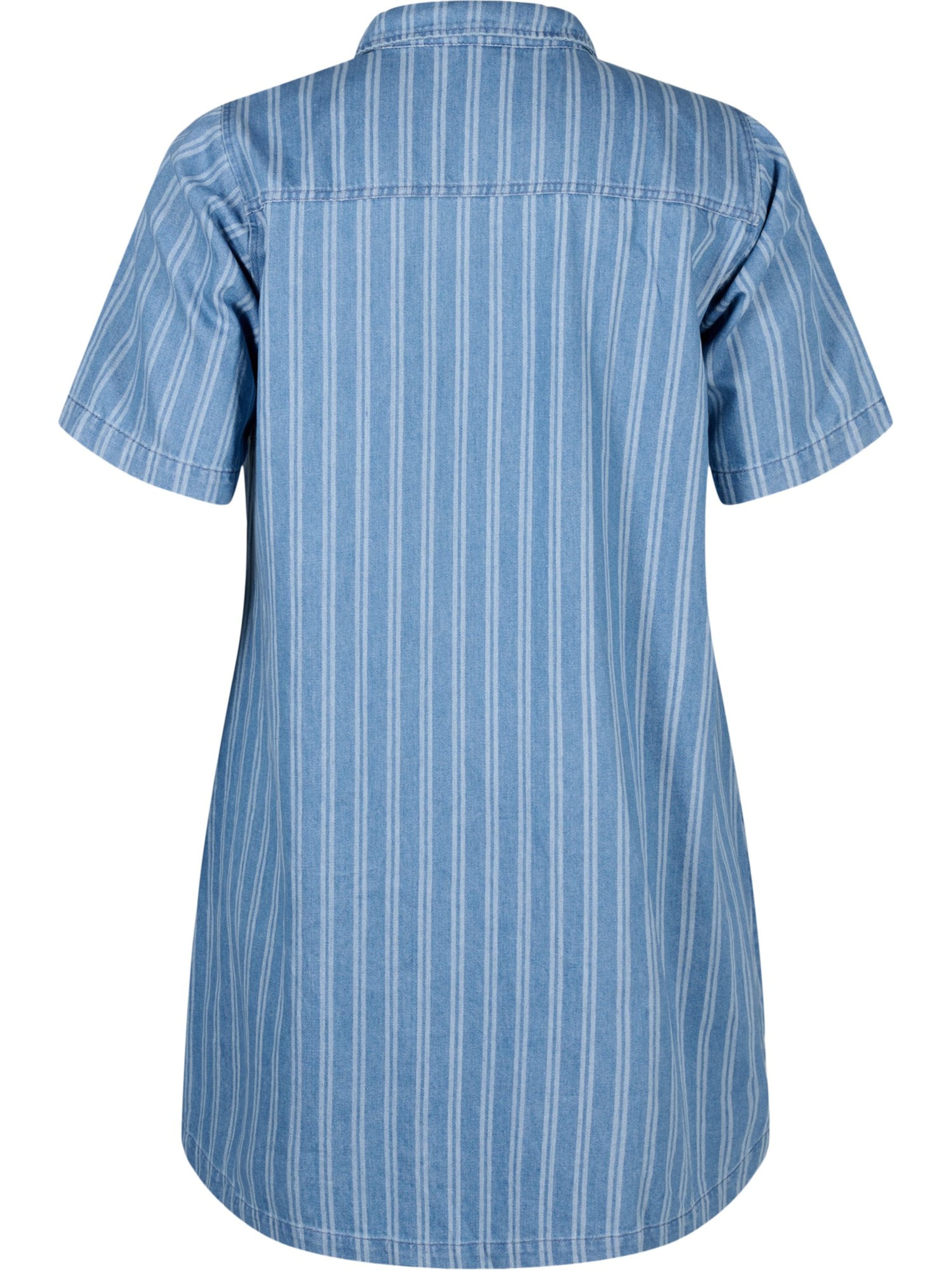 zils Zizzi Blūžkleita 'Jebba'