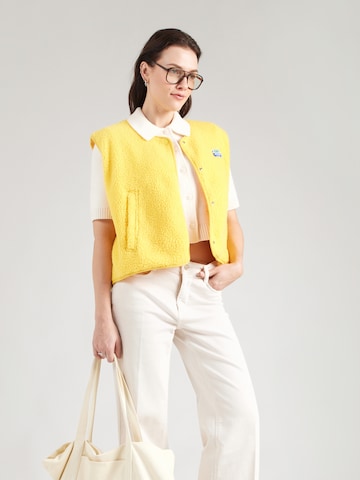 AMERICAN VINTAGE Жилетка 'HOKTOWN' в Золотой: спереди