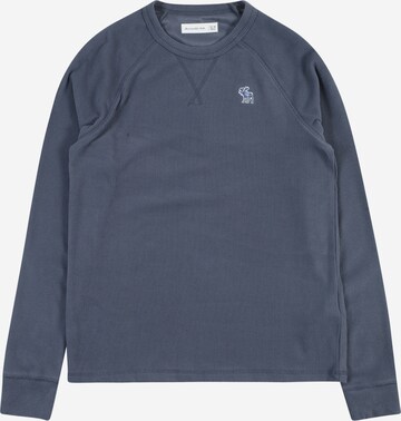 Abercrombie & Fitch Shirt in Blauw: voorkant